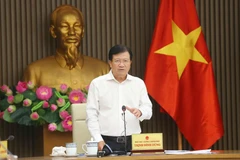 Phó Thủ tướng Trịnh Đình Dũng phát biểu chỉ đạo buổi làm việc. (Ảnh: Doãn Tấn/TTXVN)