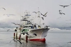 Tàu cá Shoyo Maru No. 68. (Nguồn: Kyodo)