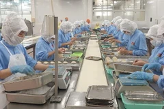 (Ảnh: TTXVN phát)