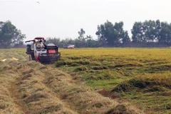 (Ảnh minh họa. Lê Huy Hải/TTXVN)