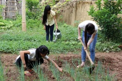 Viện Kiểm sát nhân dân Hà Nội truy tố “tú ông” trốn truy nã 13 năm