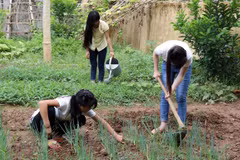 Viện Kiểm sát nhân dân Hà Nội truy tố “tú ông” trốn truy nã 13 năm
