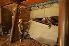 (Ảnh: Vũ Sinh/TTXVN)