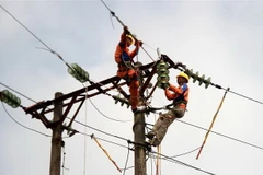 (Ảnh minh họa. Trung Kiên/TTXVN)