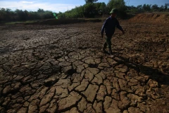 (Ảnh: Duy Khương/TTXVN)