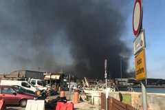 Quang cảnh đám cháy. (Nguồn: thelocal.it)