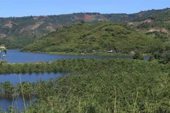 (Ảnh: Hưng Thịnh/TTXVN)