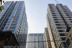  (Ảnh: Minh Nghĩa/TTXVN)