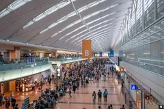 (Nguồn: japanvisitor.com)