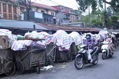 Ành minh họa. (Nguồn: Tuấn Đức/TTXVN)