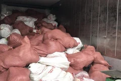 Phát hiện hơn 19 tấn thịt đông lạnh quá hạn sử dụng tại Bình Dương 