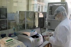 (Ảnh: Văn Đức/TTXVN)