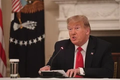 Tổng thống Mỹ Donald Trump phát biểu tại cuộc họp ở Washington, DC. (Ảnh: AFP/TTXVN)