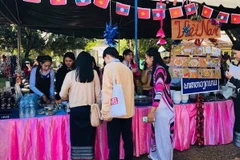 (Ảnh: Nguyễn Thu Phương/TTXVN)