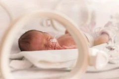 (Nguồn: uq.edu.au)