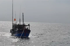 Một tàu cá Bình Định. (Ảnh minh họa. TTXVN phát)