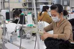 Thực tập sinh Việt Nam tại Công ty TNHH Mishow (Tokyo) đeo khẩu trang trong khi làm việc. (Ảnh: Đào Thanh Tùng/TTXVN)