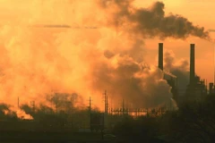 (Nguồn: Getty images)