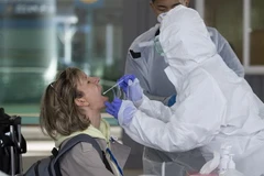 Lấy mẫu dịch để xét nghiệm COVID-19. (Ảnh: THX/TTXVN)