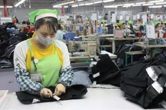 (Ảnh: Thế Duyệt/TTXVN)