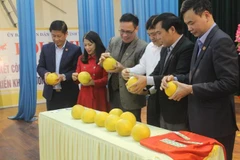 Vĩnh Phúc công bố nhãn hiệu Bưởi Vĩnh Tường - Hương vị đất Phủ