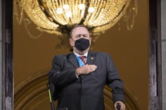 Tổng thống Guatemala Alejandro Giammattei. (Nguồn: AP)