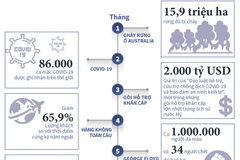 [Infographics] Những con số đáng lưu ý của năm 2020
