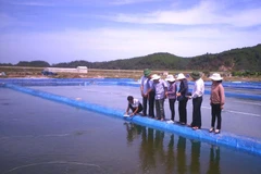 (Ảnh minh họa. Nguồn: khuyennongvn.gov.vn)