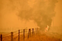 Khói bốc lên từ đám cháy rừng ở Bumbalong, Australia ngày 2/2/2020. (Ảnh: AFP/TTXVN)