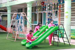 (Ảnh minh họa. Bích Huệ/TTXVN)