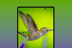 Galaxy Fold. (Nguồn: gsmarena.com)