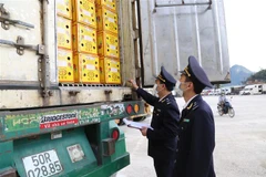 Hải quan Tân Thanh kiểm đếm nông sản tại cửa khẩu. (Ảnh: Quang Duy/TTXVN)