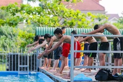 (Ảnh minh họa. Bích Huệ/TTXVN)