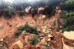 (Ảnh: Nguyên Linh/TTXVN)