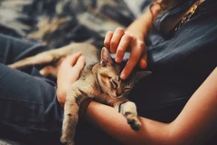 Ảnh minh họa. (Nguồn: cnbc.com)