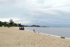 (Ảnh minh họa: Minh Hưng/TTXVN)