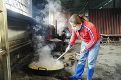 (Ảnh minh họa: Xuân Tư/TTXVN)