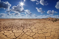 Ảnh minh họa. (Nguồn: Getty Image)