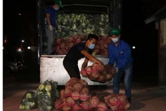 (Ảnh minh họa: Mạnh Minh/TTXVN)