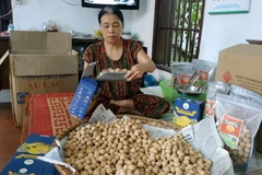  Đóng gói sản phẩm bánh nhãn tại xã Hải Bắc, huyện Hải Hậu. (Ảnh: Nguyễn Lành/TTXVN)
