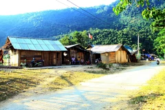 Hàng chục hộ dân xã Lượng Minh phải sống trong những túp lều tranh tạm bợ bên đường 543B suốt 3 năm qua để chờ chuyển đến khu tái định cư. (Ảnh: Tá Chuyên/TTXVN)