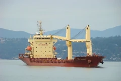 Tàu hàng Vietsun Confident. (Nguồn: fleetmon.com)