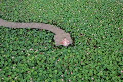 [Photo] Trải nghiệm Thu lãng mạn ở “thiên đường sống ảo” của Ninh Bình