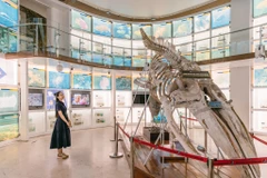 Bảo tàng Quảng Ninh độc đáo trong mắt các travel blogger nổi tiếng