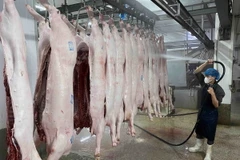 Làm sạch thịt lợn trước khi đưa vào chế biến tại nhà máy của Công ty Cổ phần Công nghệ thực phẩm Vinh Anh (huyện Thường Tín, Hà Nội). (Ảnh: Vũ Sinh/TTXVN)