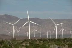 Các tuốcbin sản sinh điện gió hoạt động tại California, Mỹ. (Ảnh: Reuters/TTXVN)