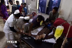 Ảnh minh họa. (Nguồn: AFP/TTXVN)