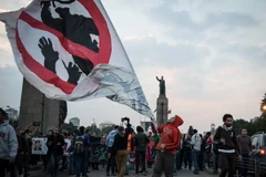 Đảng Hồi giáo Ai Cập tẩy chay trưng cầu dân ý về hiến pháp