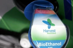 EU có thể sẽ nâng giới hạn tỷ lệ sử dụng nhiên liệu sinh học