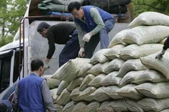 Hàn Quốc có thể áp mức thuế 500% đối với gạo nhập khẩu